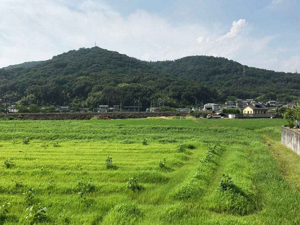 岡山の田園風景の中の住宅