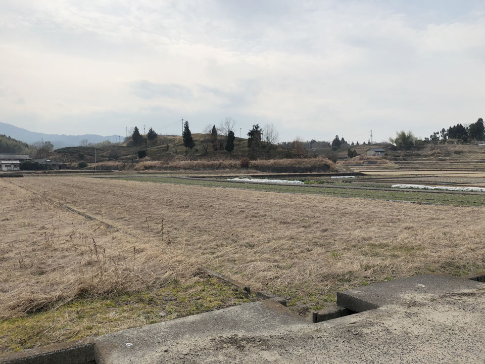 田園風景の中に建つ香川の家