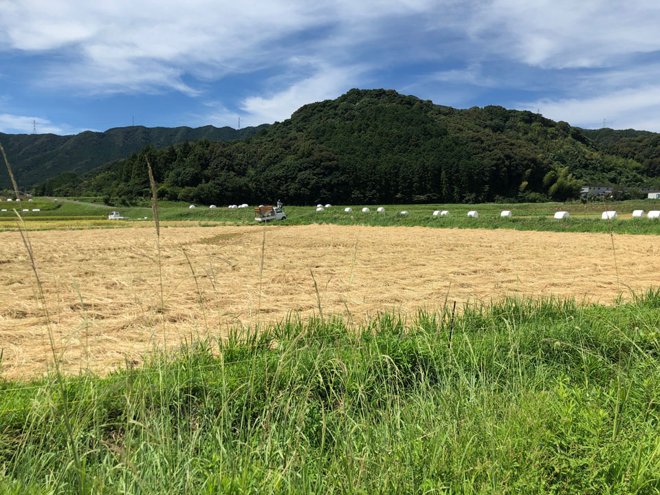 熊本天草に建つデザイン住宅