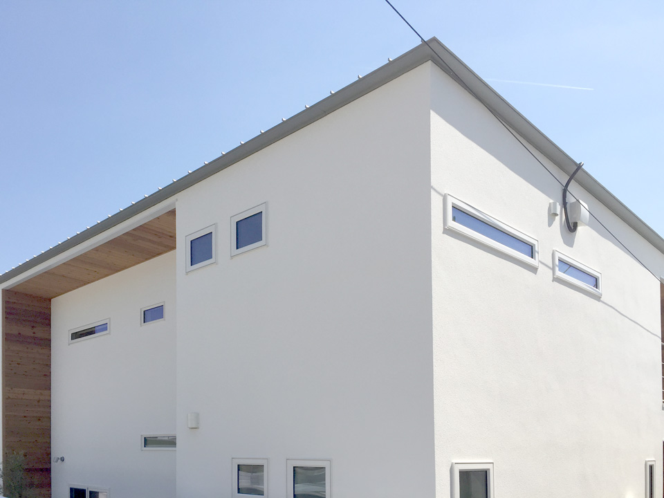 Wood and white modern design