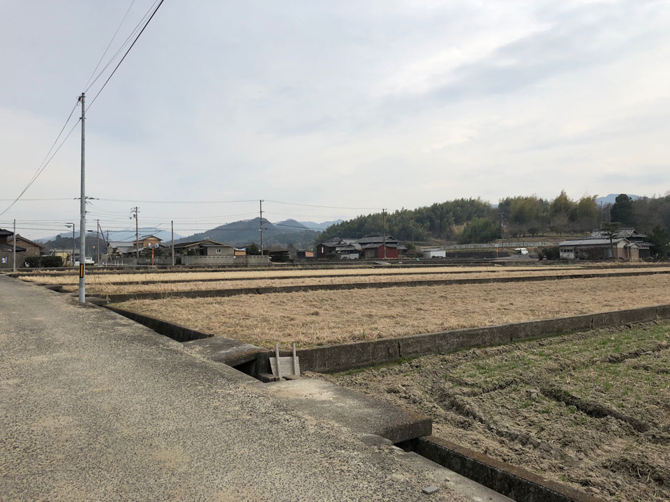 東植田の敷地調査の様子