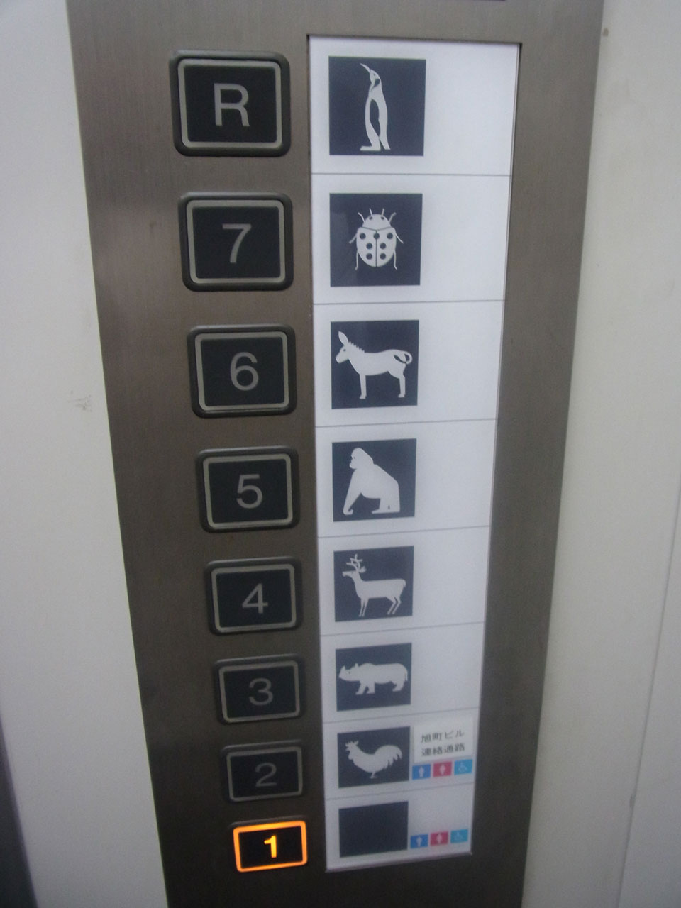 ウセストパーク1000-エレベーター
