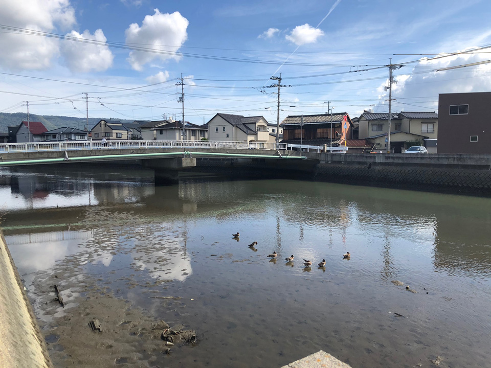 建築家と建てる高松の家